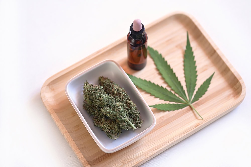 Medical cannabis oil with leaf and buds showing what cannabis looks like in licensed forms