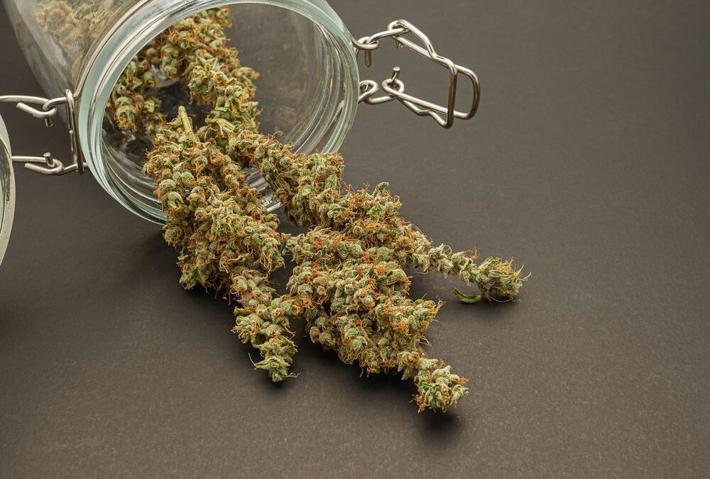 What Proper Cannabis Storage Conditions Actually Protect