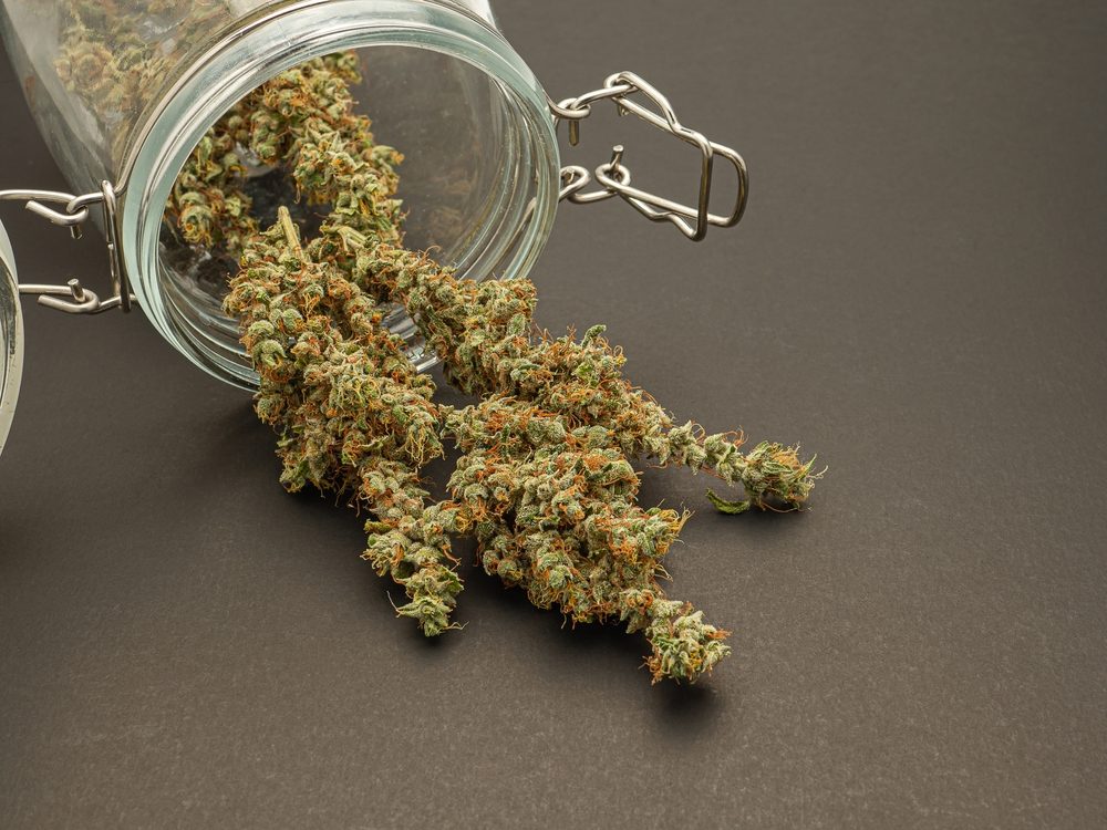 Dried medical cannabis buds spilling from a glass jar showing proper storage conditions.